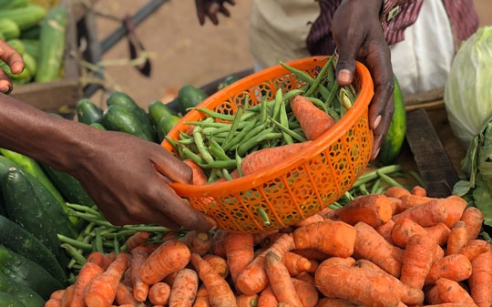 Two hands passing an orange basket of carrots and green beans