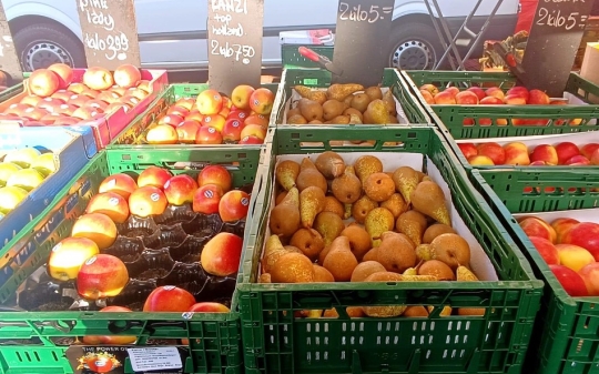 Urban Food Markets