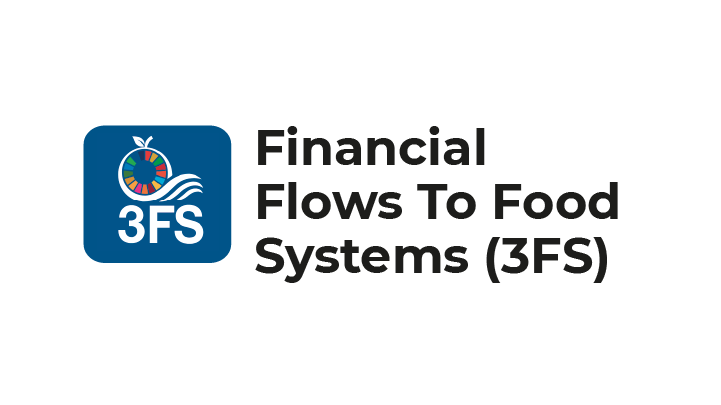 3FS Tool