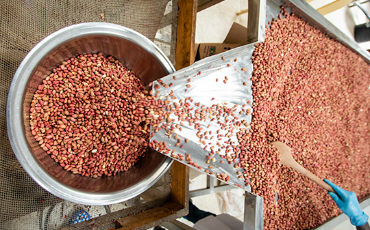 processed nuts