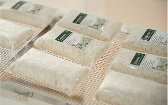 Tempeh