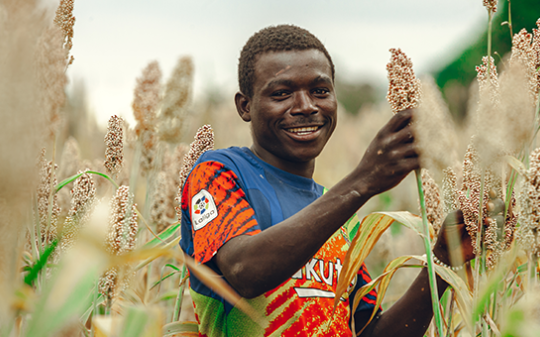Worker in a sorghum field